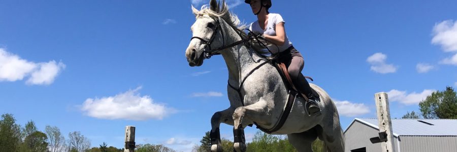 Riding Lessons & Advance Coaching