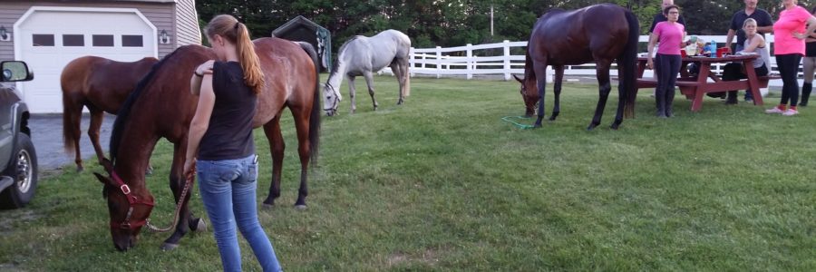 Steve Lantvit Horsemanship Clinic July 11-12, 2020
